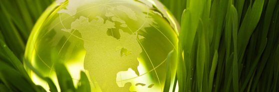 Header-Earth-Day-1.5.2.4_img1