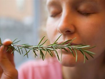 344abef46632eef2264bbd70c76dc5ec