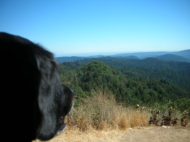 Bacchus_Bear_Creek_Canyon_072807